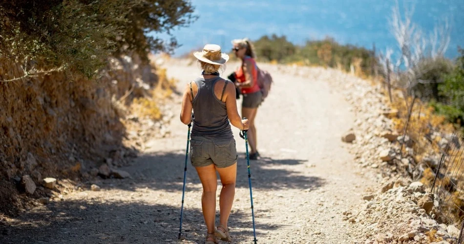 Discover Anaheim Outdoors: Top Hiking Trails, Biking Routes & Nature Getaways