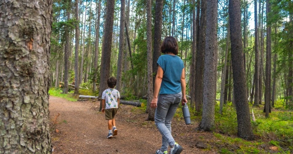 Discover Anaheim Outdoors: Top Hiking Trails, Biking Routes & Nature Getaways