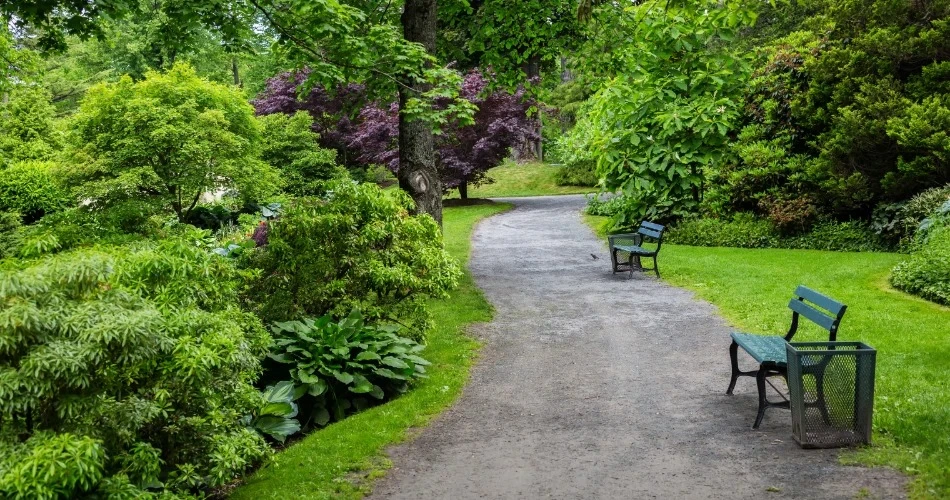 Discover Anaheim Outdoors: Top Hiking Trails, Biking Routes & Nature Getaways