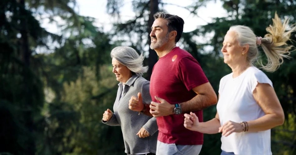 Discover Anaheim Outdoors: Top Hiking Trails, Biking Routes & Nature Getaways