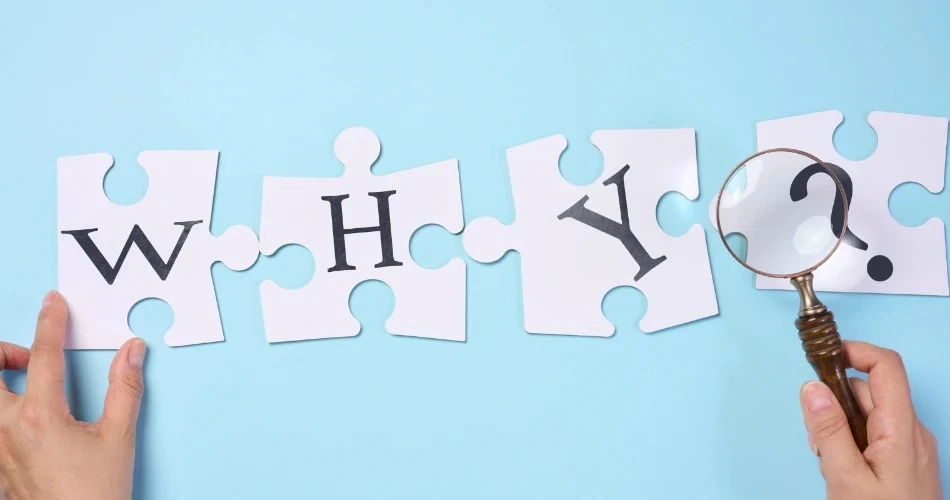 Best Fun Activities in Anaheim for Families and Friends